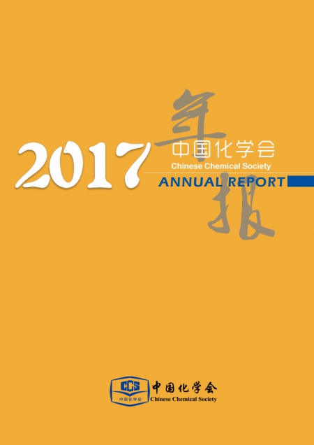 中国化学会2017年年报