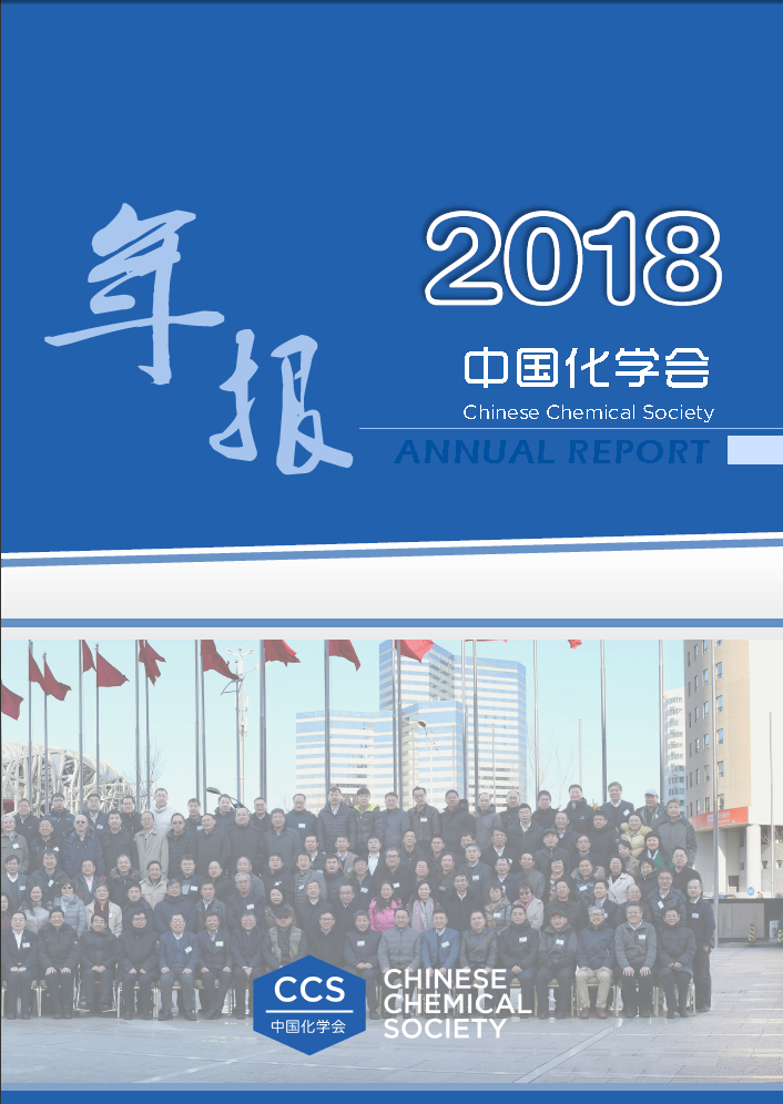 中国化学会2018年年报