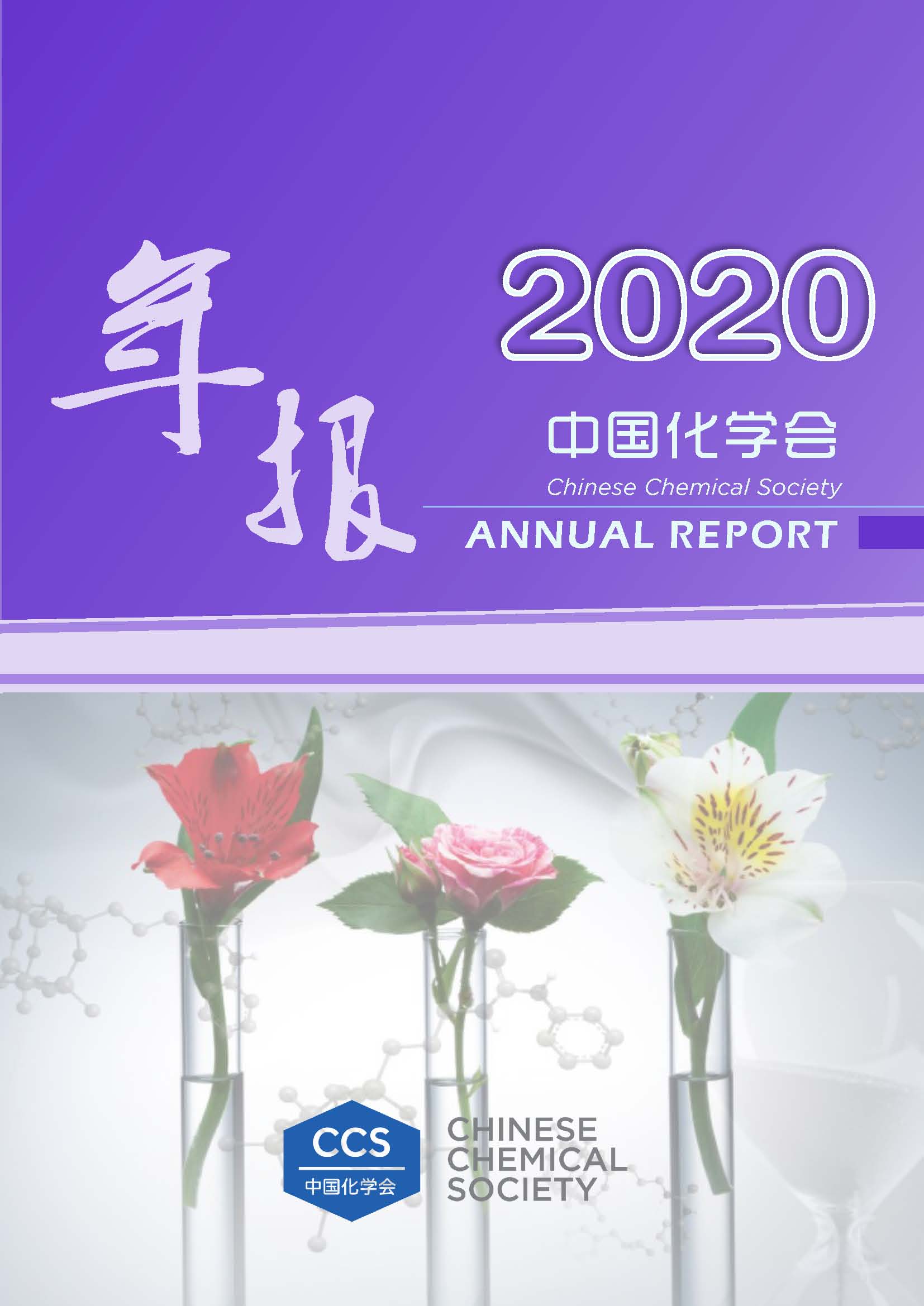 中国化学会2020年年报